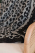 Charcoal Leopard Plush Knit Blanket