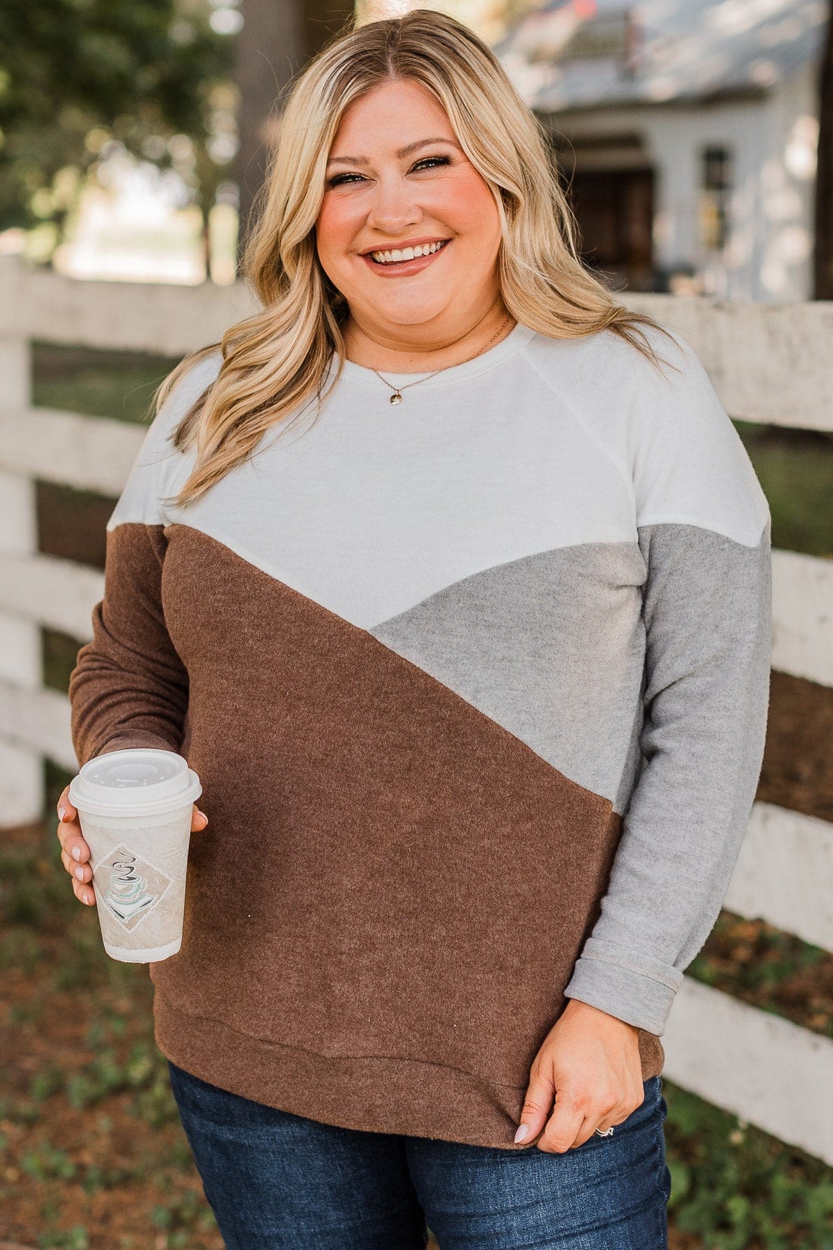 Wish For More Color Block Top- Ivory & Brown