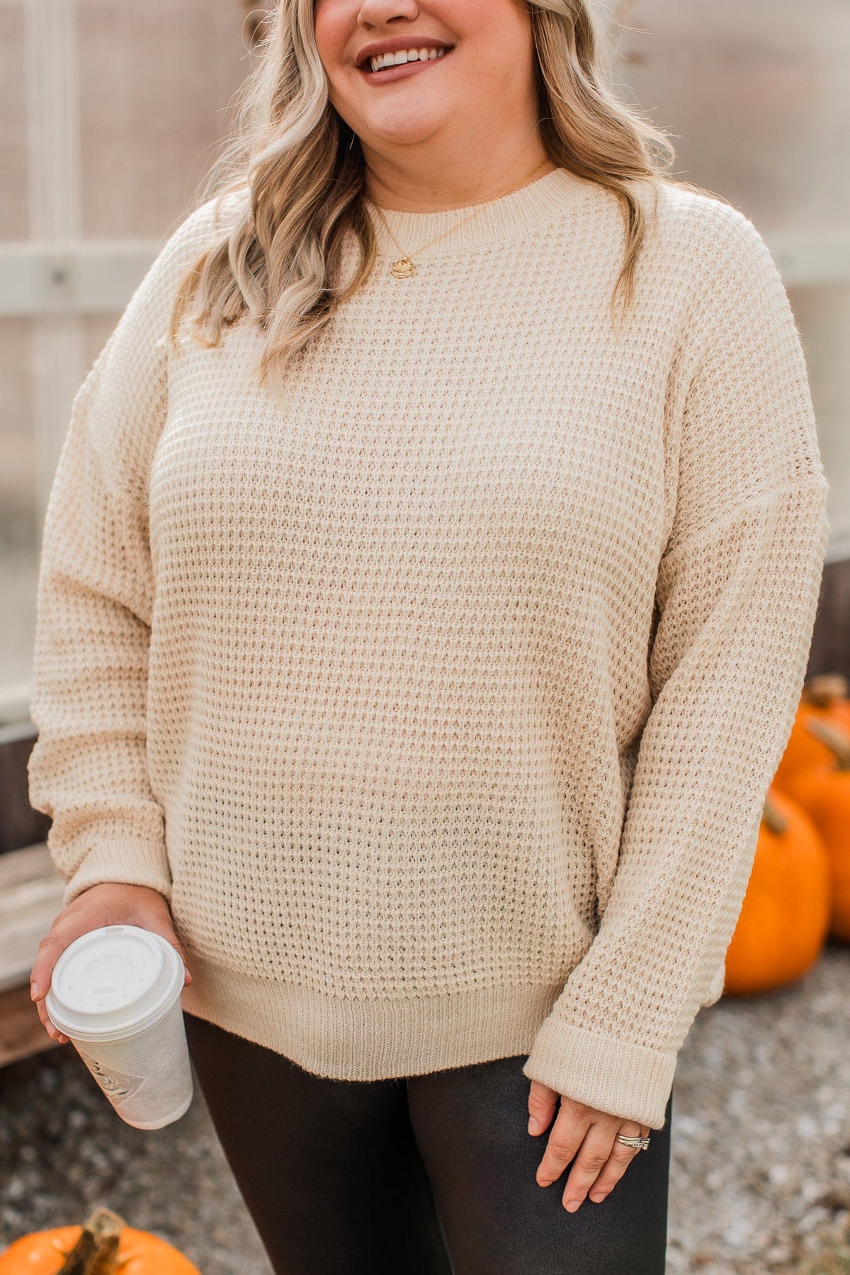 Captivating In Color Knit Sweater- Oatmeal