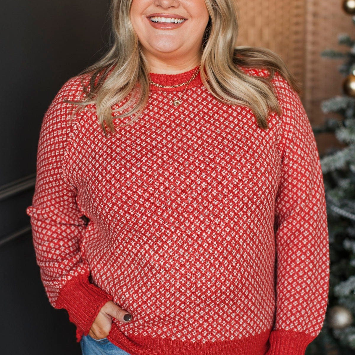 Frosted Looks Printed Knit Sweater- Red – The Pulse Boutique