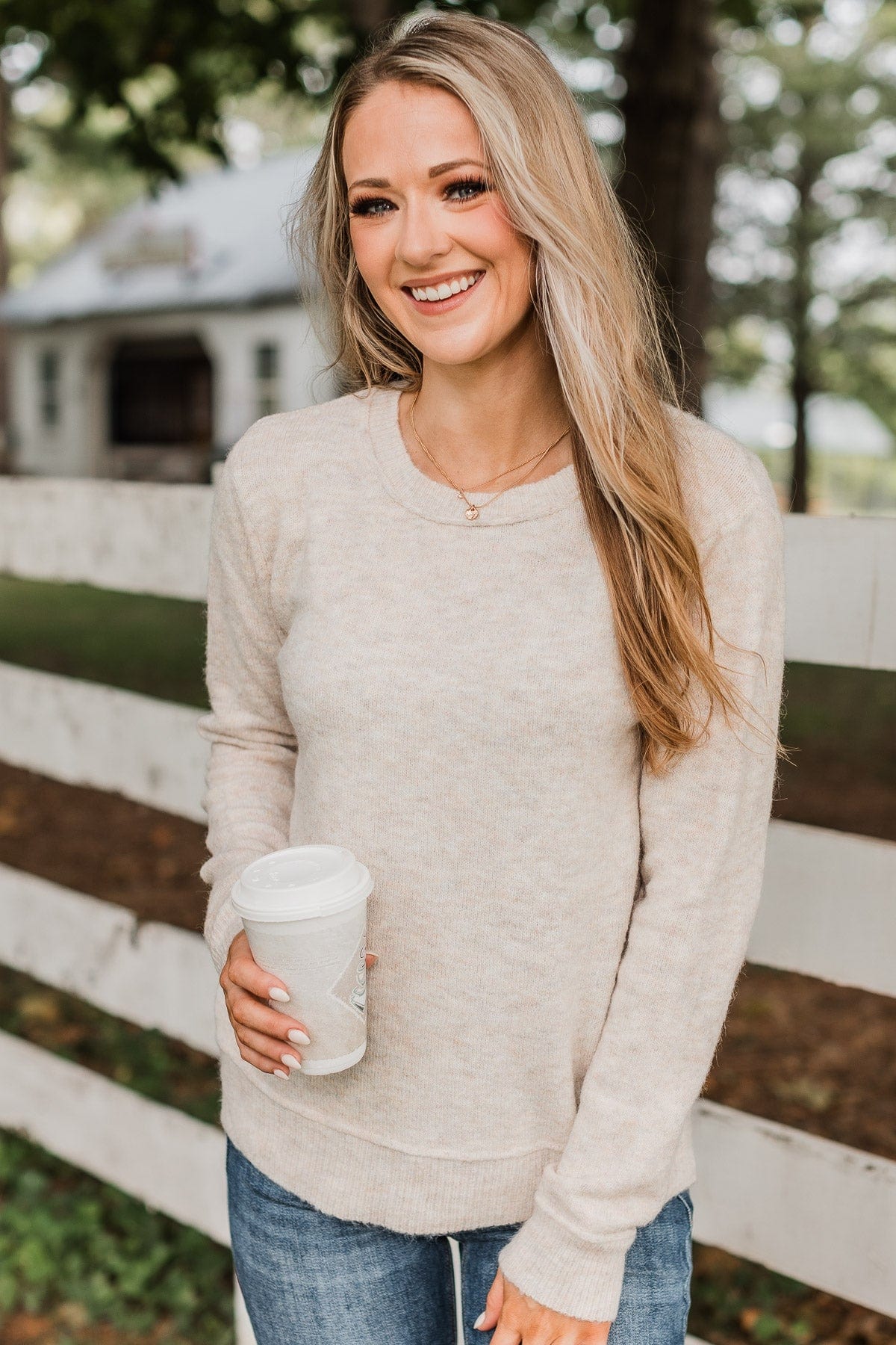 Behind The Scenes Knit Sweater- Oatmeal