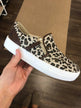 Not Rated Timbre Sneakers- Leopard