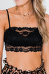 Stunning Lace Bralette- Black