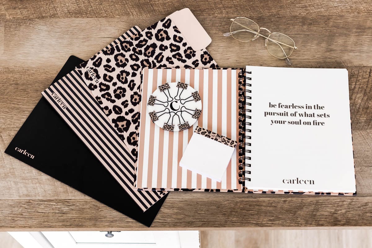 2-Pack Sticky Note Pads - Leopard Print