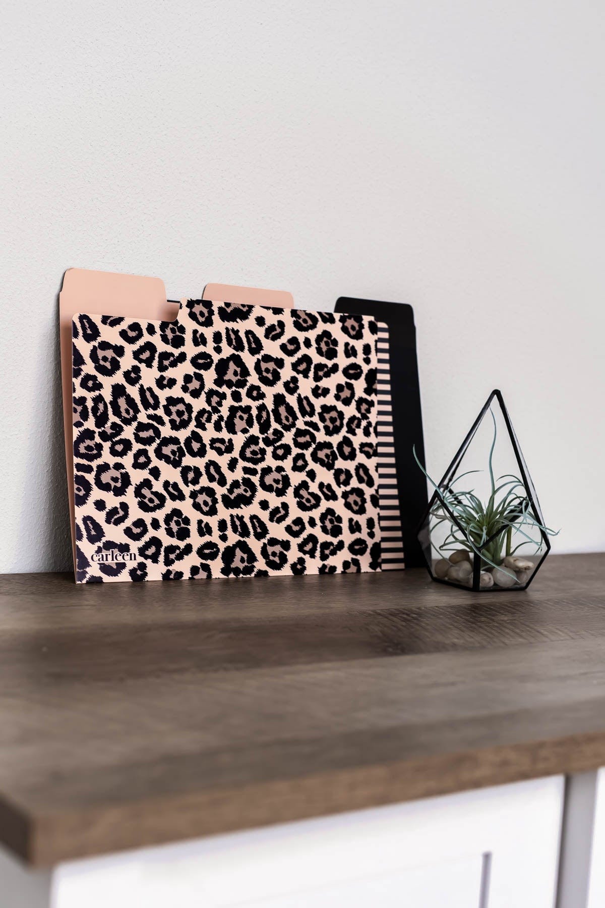 3-Pack File Folder Set - Leopard Print