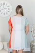 Party By The Pool Striped Dress- Multi-Color