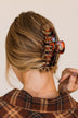 Claw Hair Clip Accessory- Brown