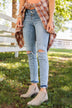 Vervet High-Rise Skinny Jean- Laurel Wash