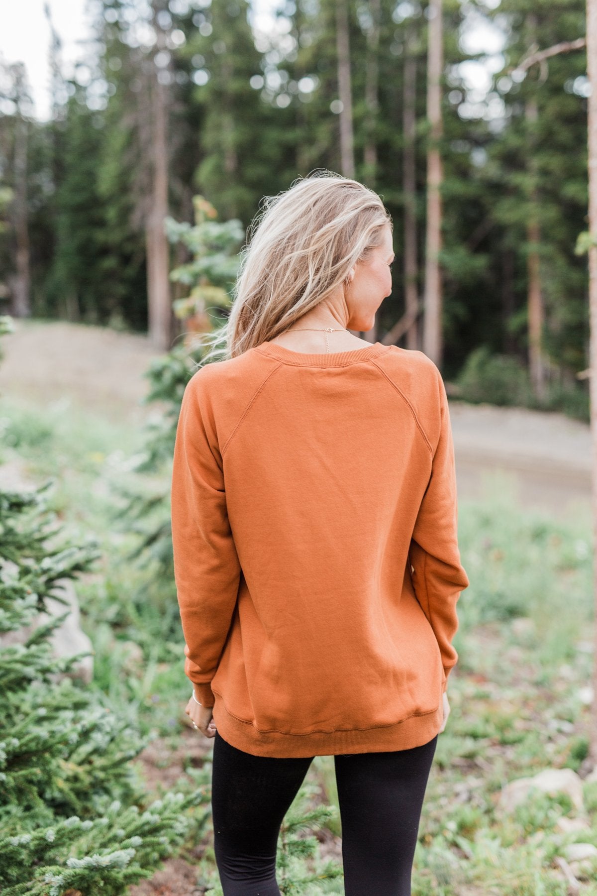 Pulse Basics Crew Neck Pullover- Rust